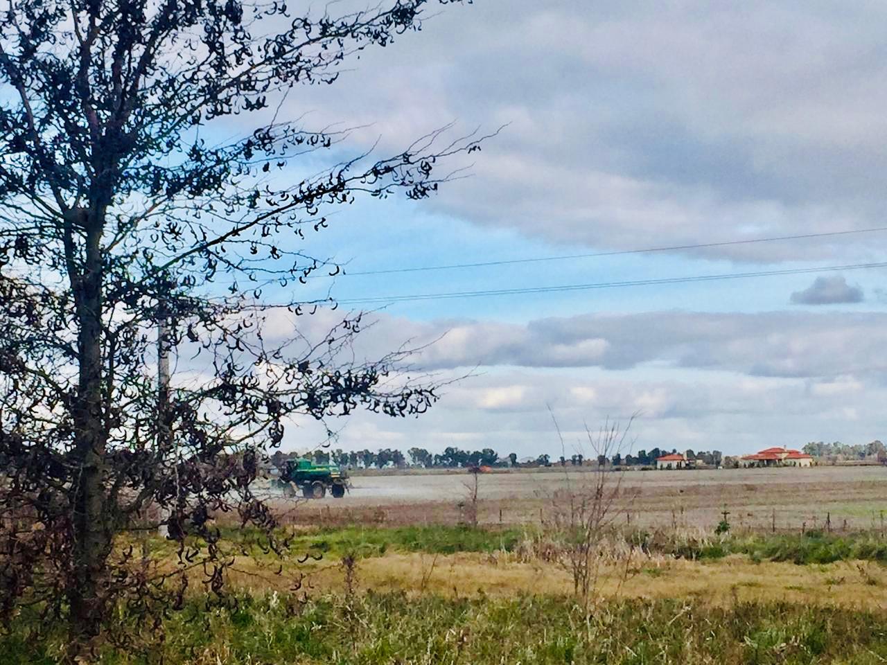 CAMPO DE 8 HAS SOBRE RUTA 41, LOBOS