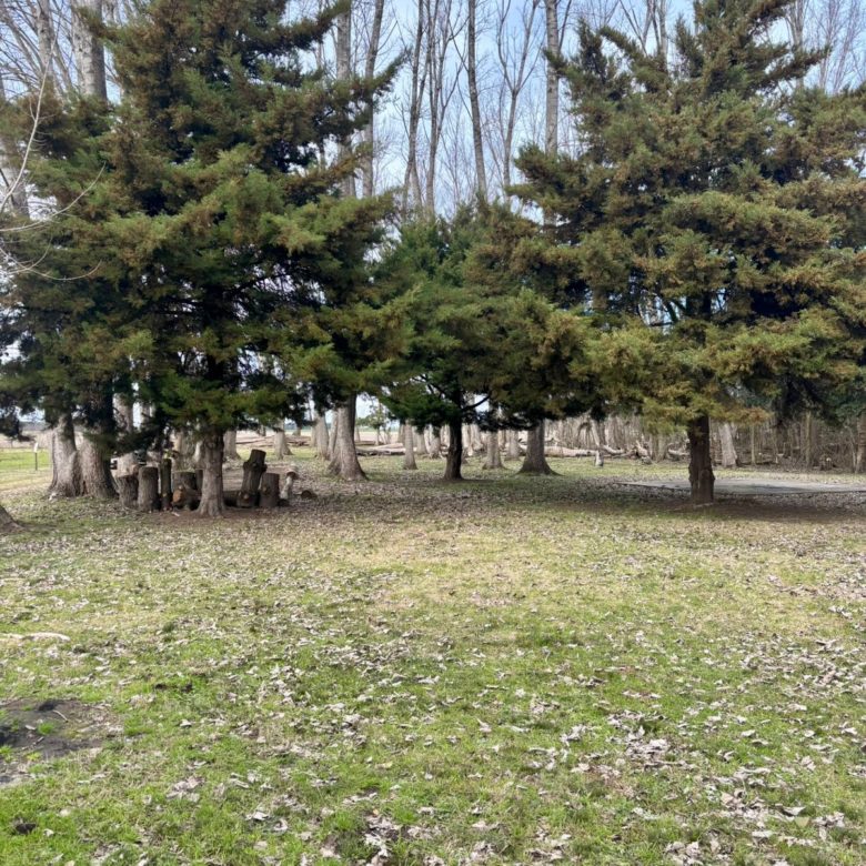 Chacra en Venta en Ruta 30, Lobos (2 Dorm – 6 Has)