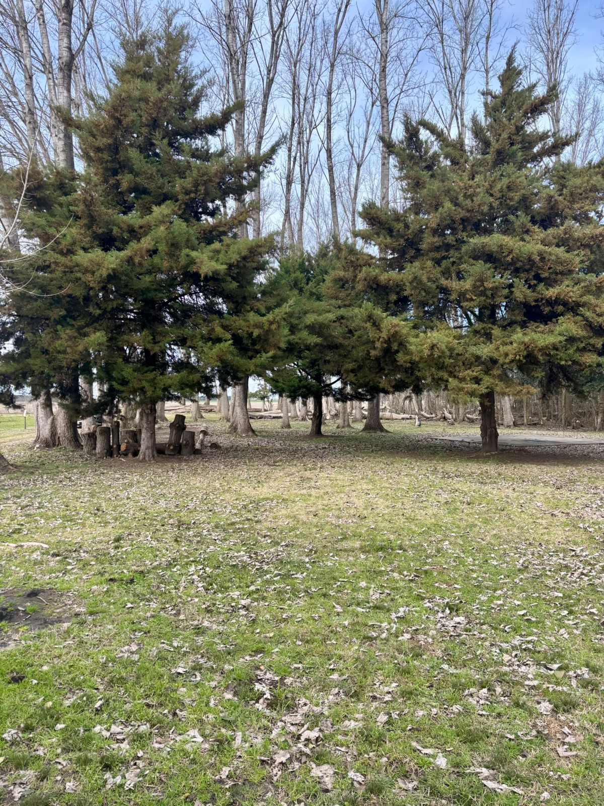 Chacra en Venta en Ruta 30, Lobos (2 Dorm – 6 Has)