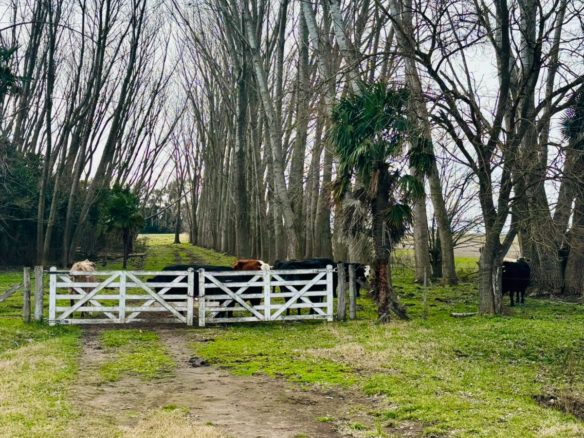 Chacra en Venta en Ruta 30, Lobos (2 Dorm – 6 Has)