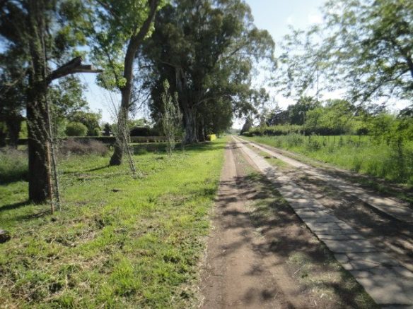 Lote en Venta en Villa Margarita, Lobos (525 m²)