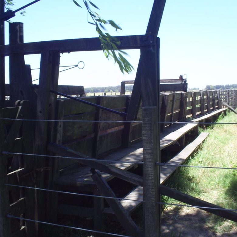Campo en Venta en Ruta 205, Lobos (150 Has)