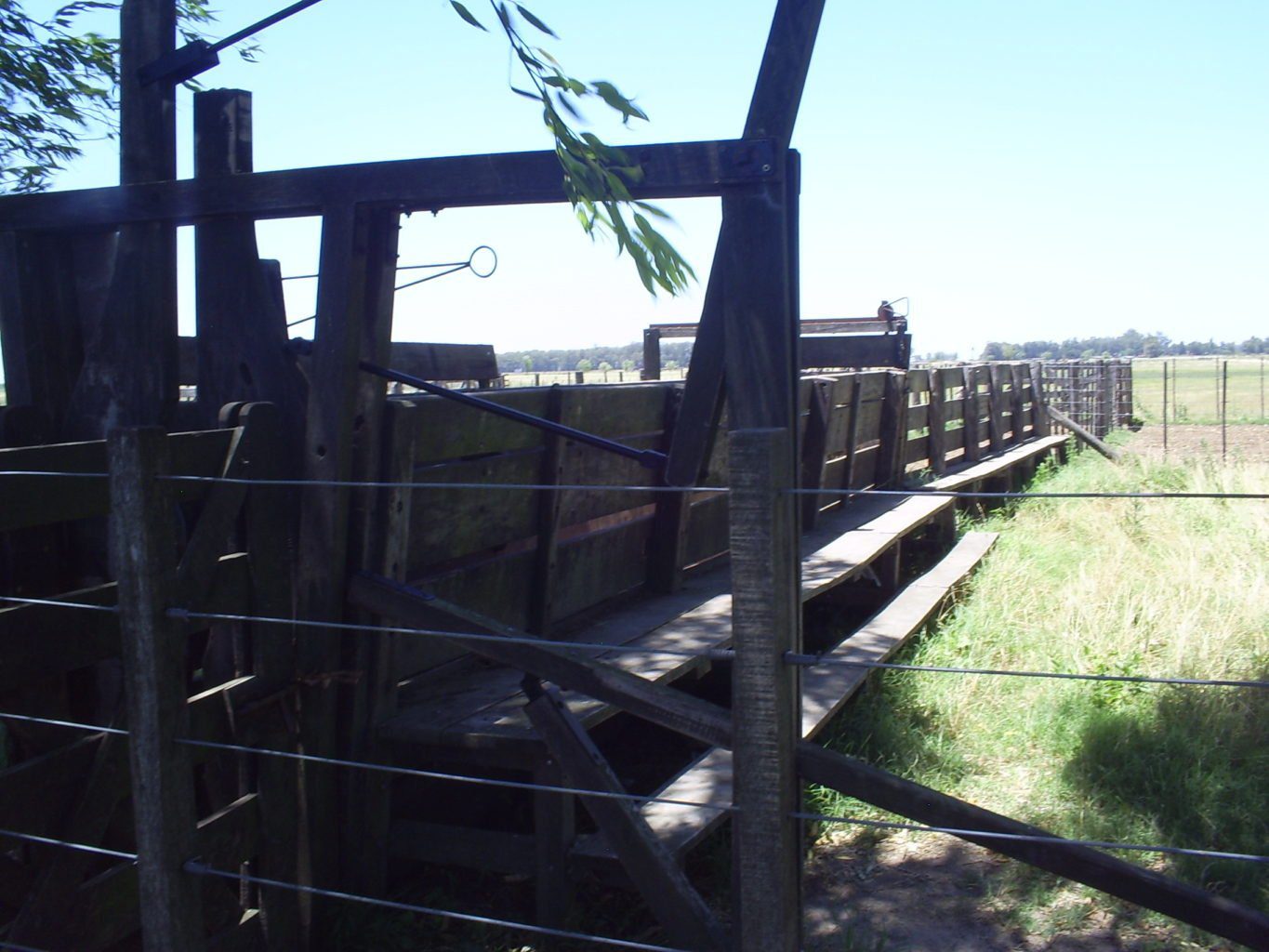 Campo en Venta en Ruta 205, Lobos (150 Has)