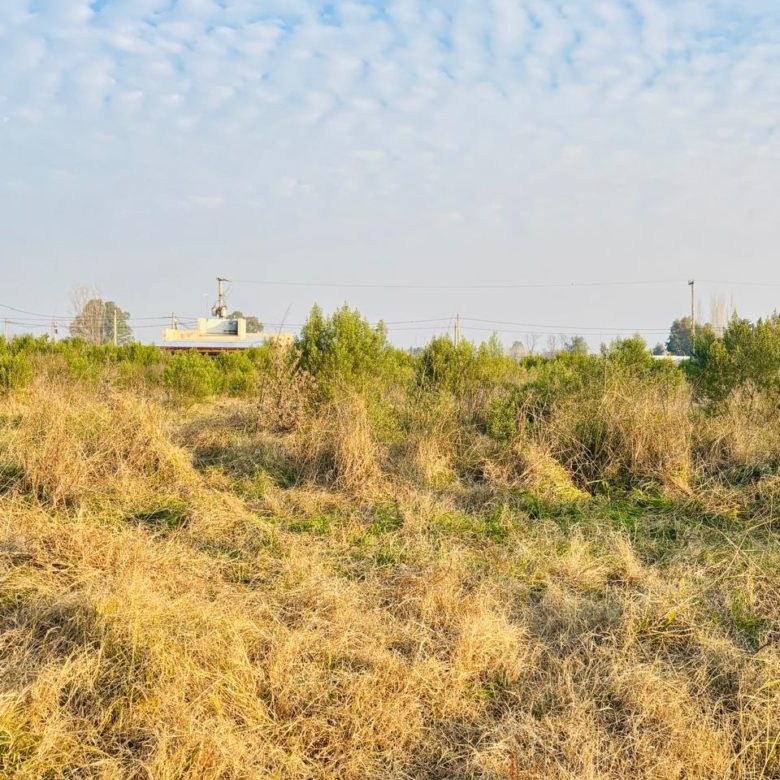 Lotes en Venta en Barrio Los Pasteleros, Lobos