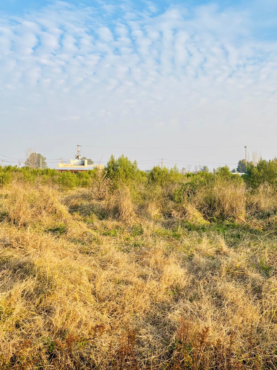 Lotes en Venta en Barrio Los Pasteleros, Lobos