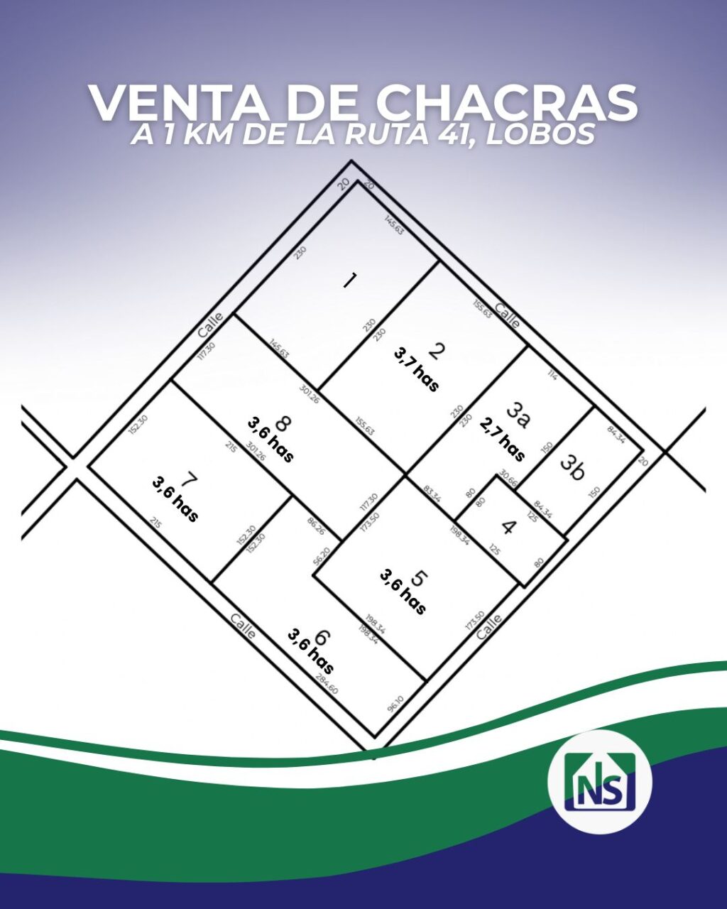 WhatsApp Image 2025-09-11 at 10.10.46 Venta de Chacra de 3.5 Hectáreas en Lobos – A Solo 1.000 m de la Ruta 41