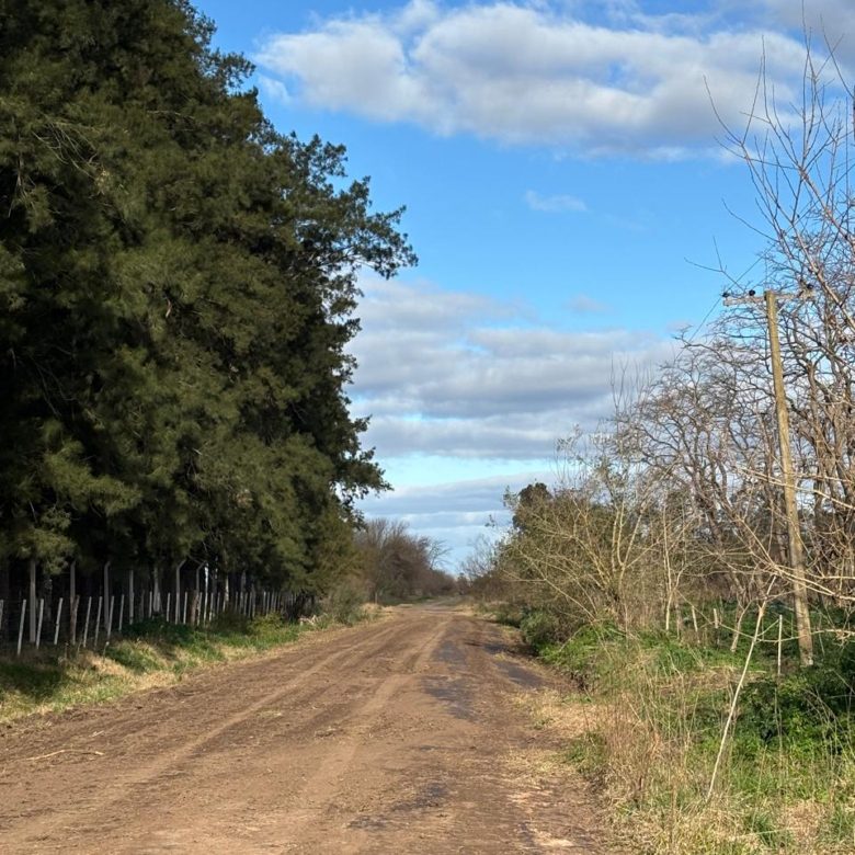 Venta de Chacra de 3.5 Hectáreas en Lobos – A Solo 1.000 m de la Ruta 41