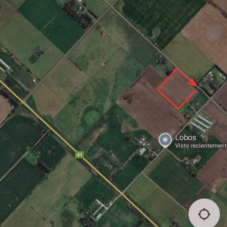 Venta de Chacra de 3.5 Hectáreas en Lobos – A Solo 1.000 m de la Ruta 41