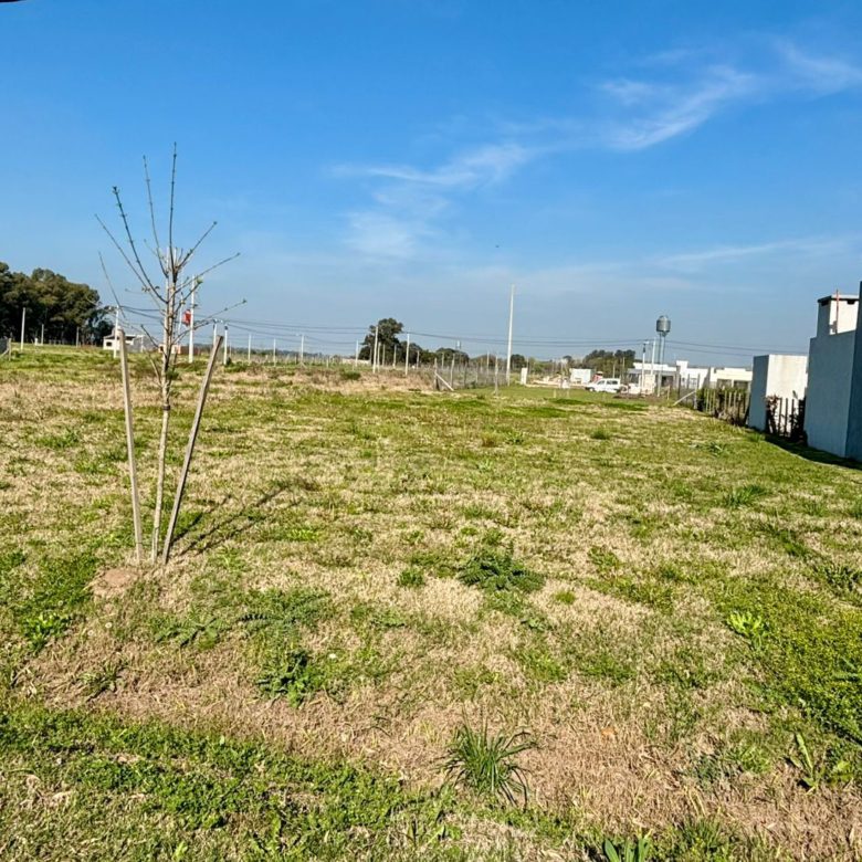 Lote en Venta en Lobos – 525 m² con Servicios Completos