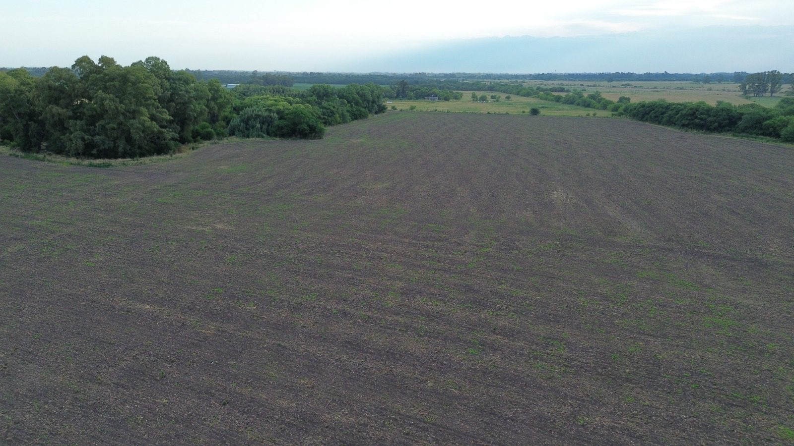 Campo en Venta en San Miguel del Monte (26 Has)