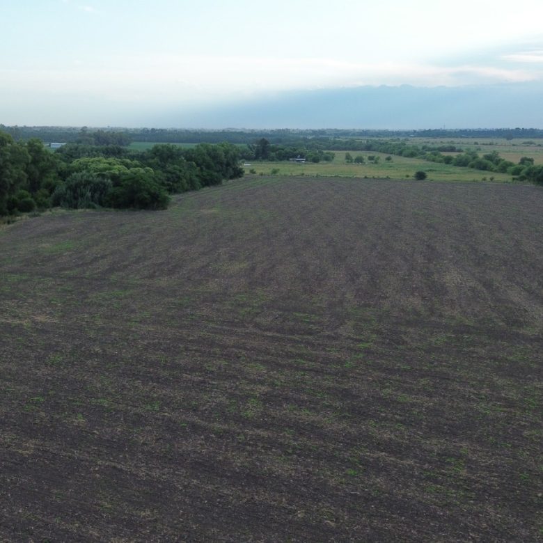Campo en Venta en San Miguel del Monte (26 Has)