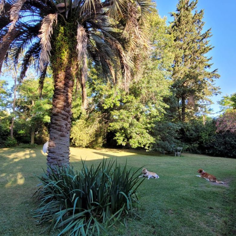 Quinta en Venta en Calle 7, Salvador María, Lobos (2 Dorm – 2094 m²)