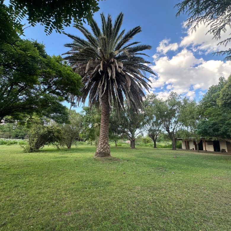 Chacra en Venta en Lobos (2 Dorm)