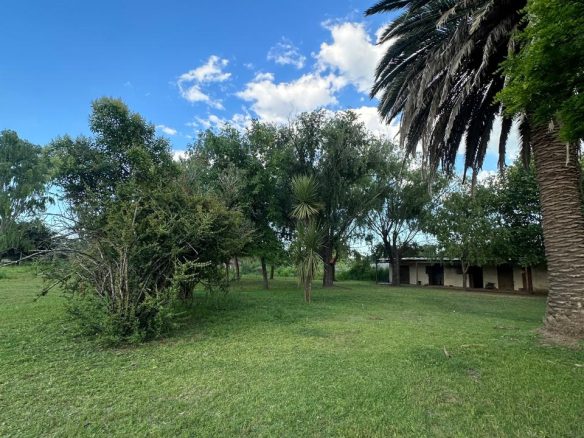 Venta Chacra 1,25 Há en Lobos con Casa 2 Dormitorios + Living con Hogar 