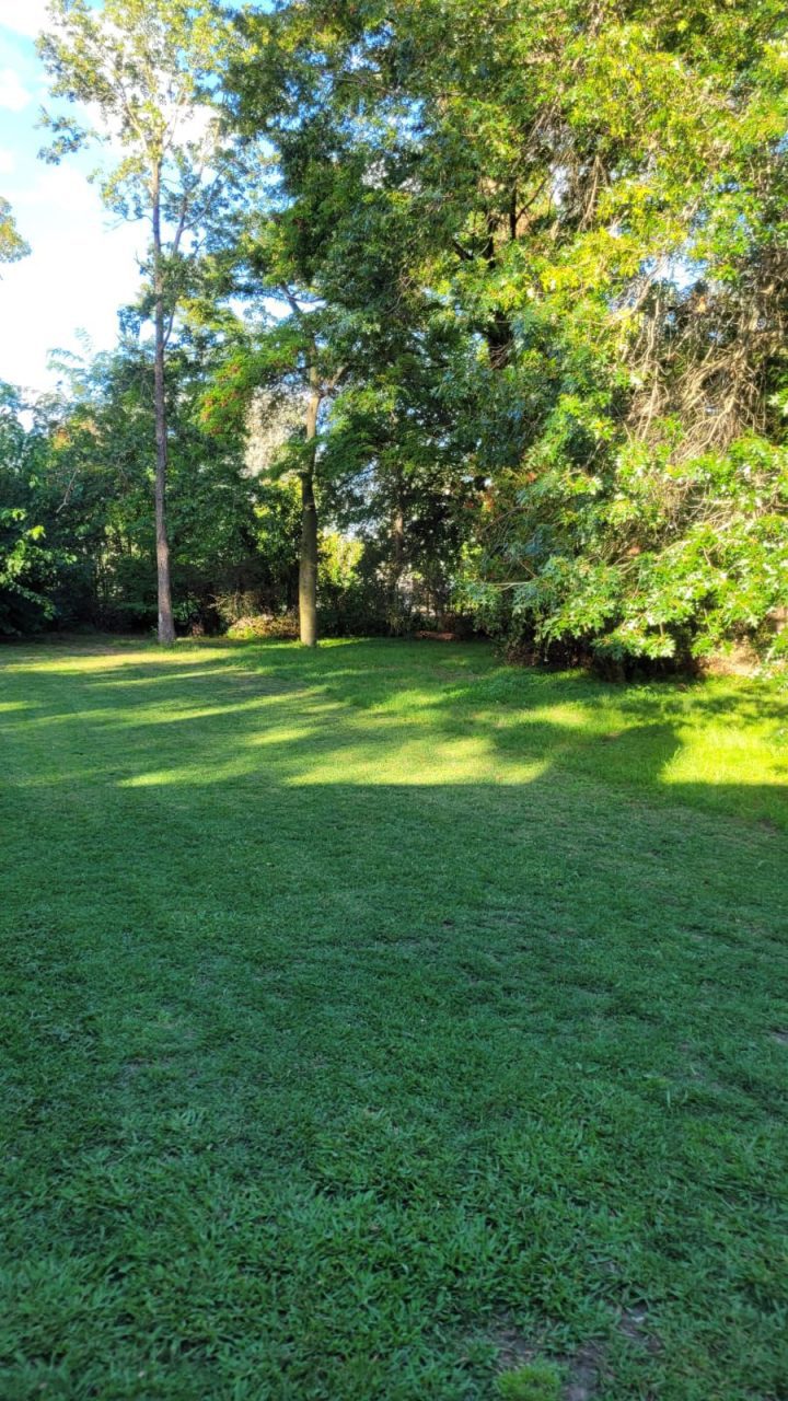 Quinta en Venta en Calle 7, Salvador María, Lobos (2 Dorm – 2094 m²)