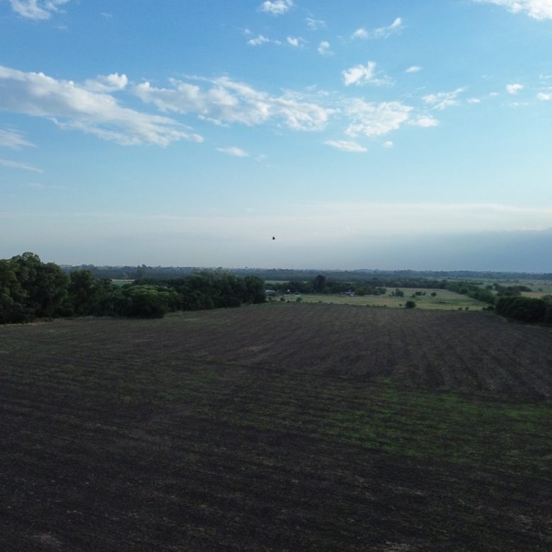 Campo en Venta en San Miguel del Monte (26 Has)