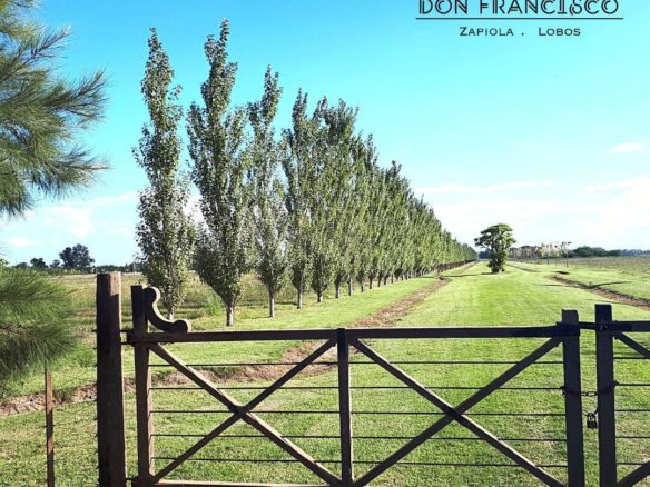 VENTA CHACRA Don Francisco en ZAPIOLA – Buenos Aires