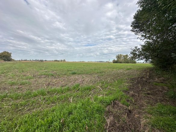 Campo de 9 Has Venta en Las Chacras– Buenos Aires