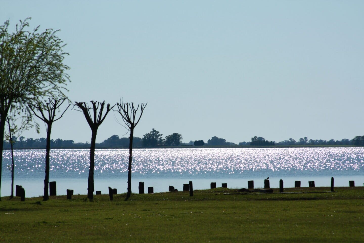 Lote en Venta en Laguna de Lobos (1600 m²)