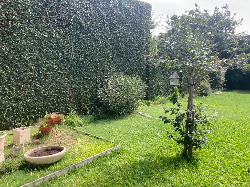 Casa Céntrica en Venta en Lobos – 3 Dormitorios, Ideal para Familias