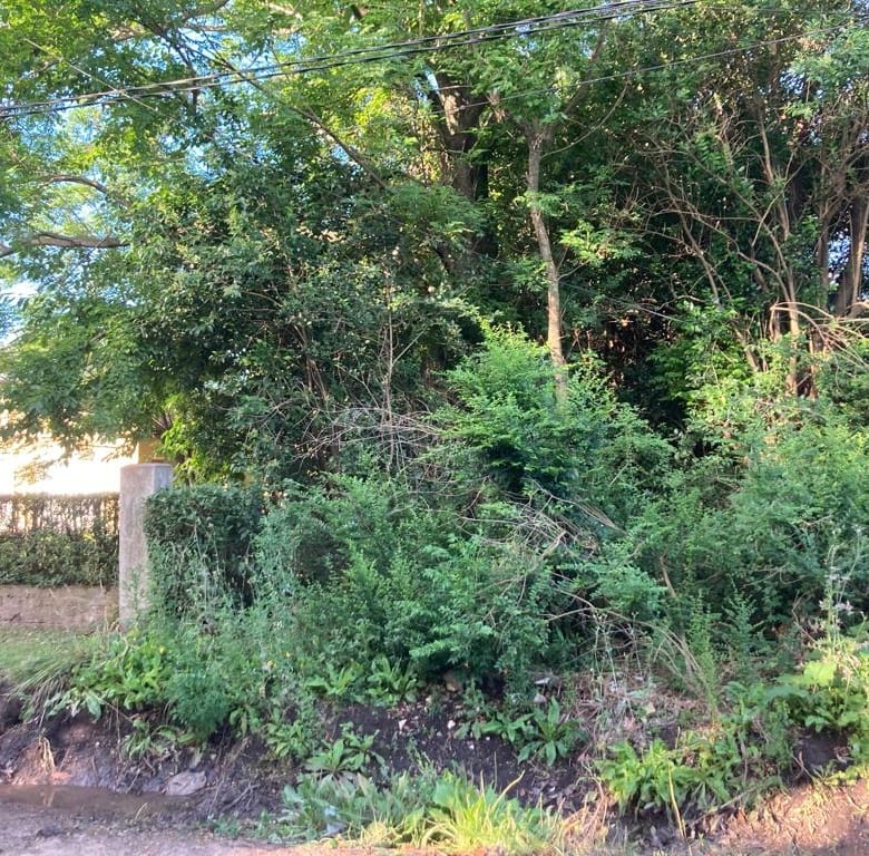 Lote en Venta en Laguna de Lobos (800 m²)