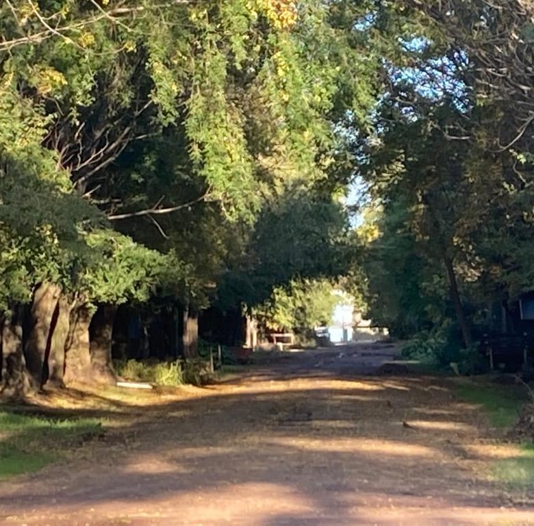 Lote en Venta en Laguna de Lobos (800 m²)