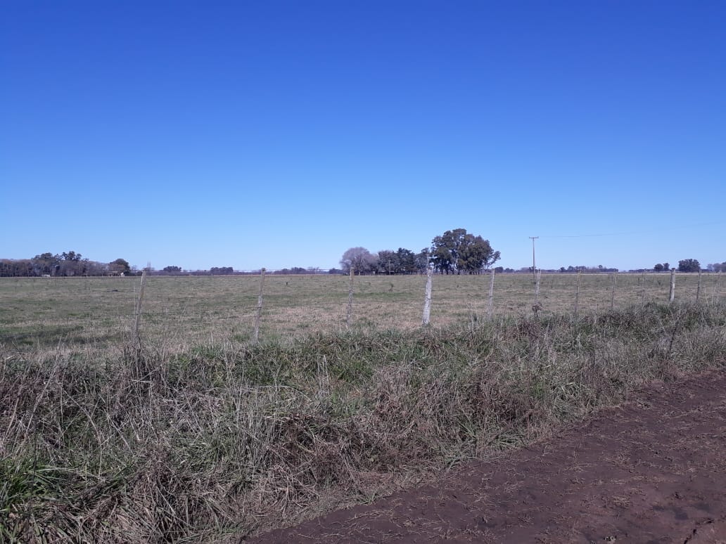 Campo en Venta en Lobos (27 Has)