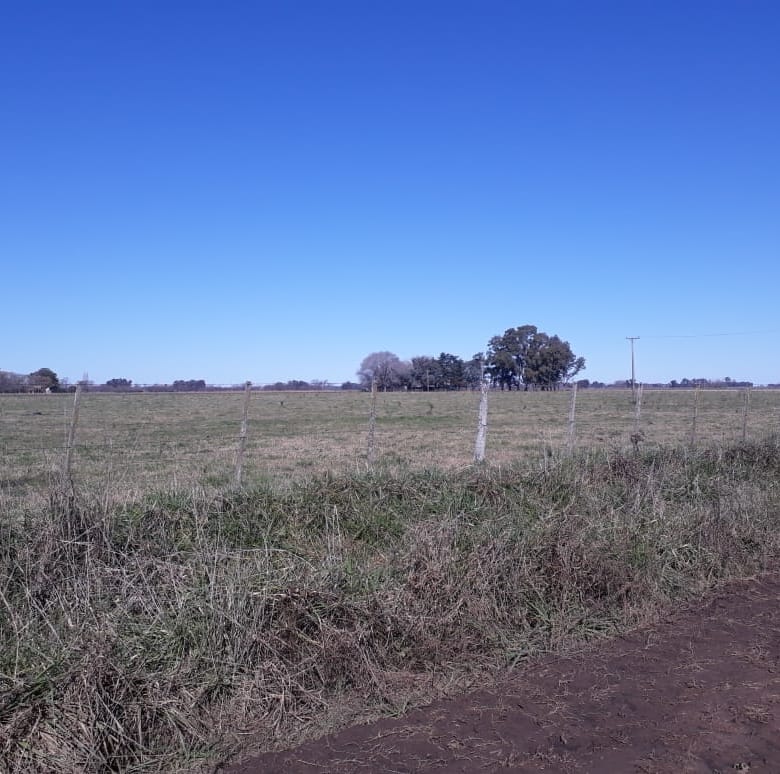 Campo en Venta en Lobos (27 Has)
