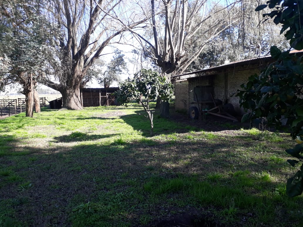 Campo en Venta en Lobos (27 Has)