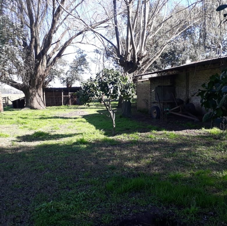 Campo en Venta en Lobos (27 Has)