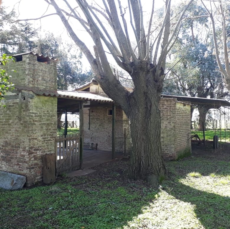 Campo en Venta en Lobos (27 Has)