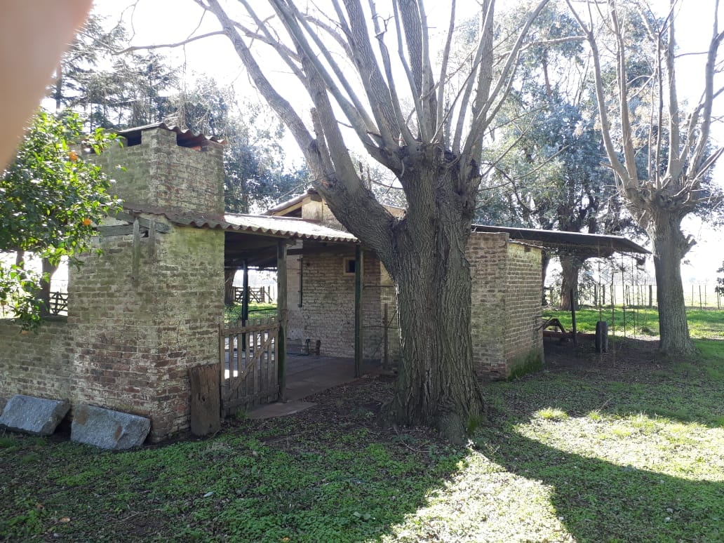 Campo en Venta en Lobos (27 Has)