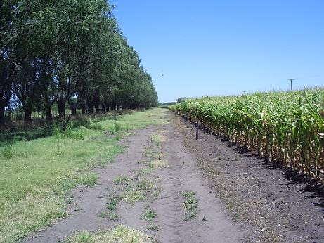 Campo en Venta en Ruta 205, Lobos (150 Has)
