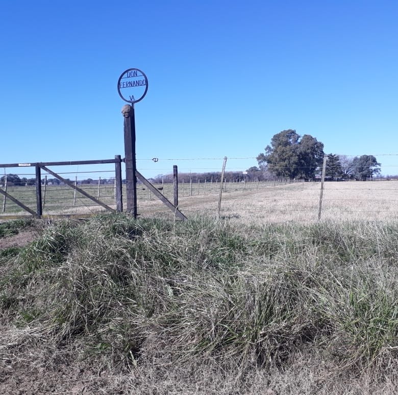 Campo en Venta en Lobos (27 Has)