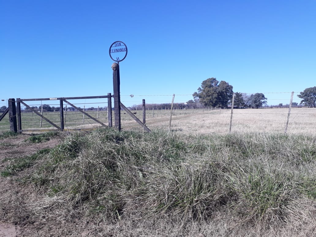 Campo en Venta en Lobos (27 Has)