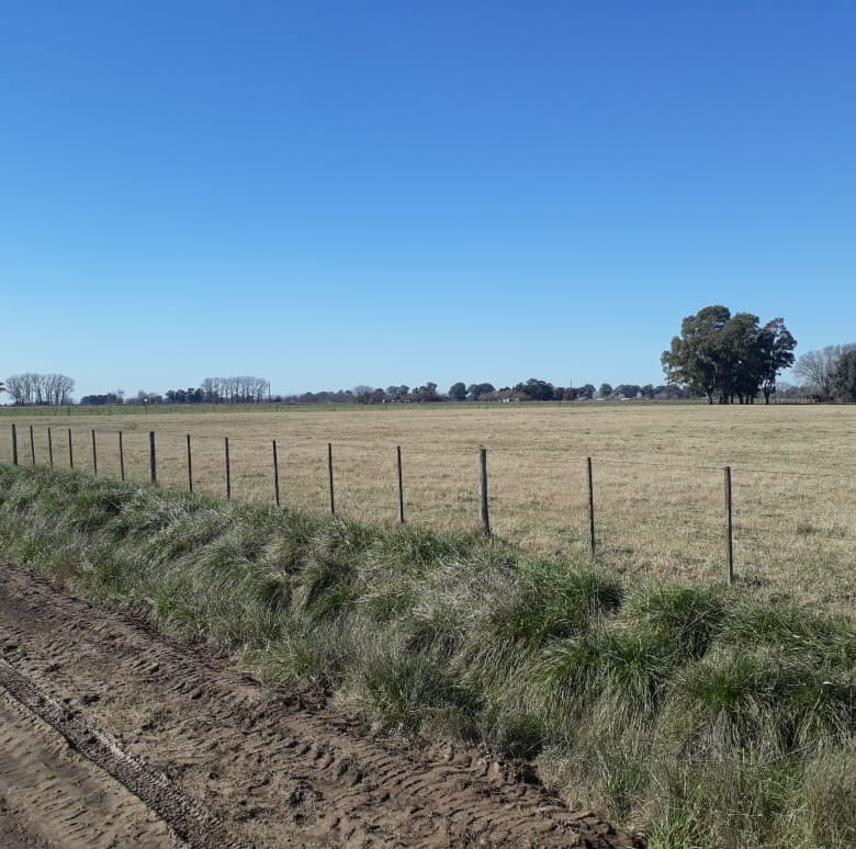 Campo en Venta en Lobos (27 Has)