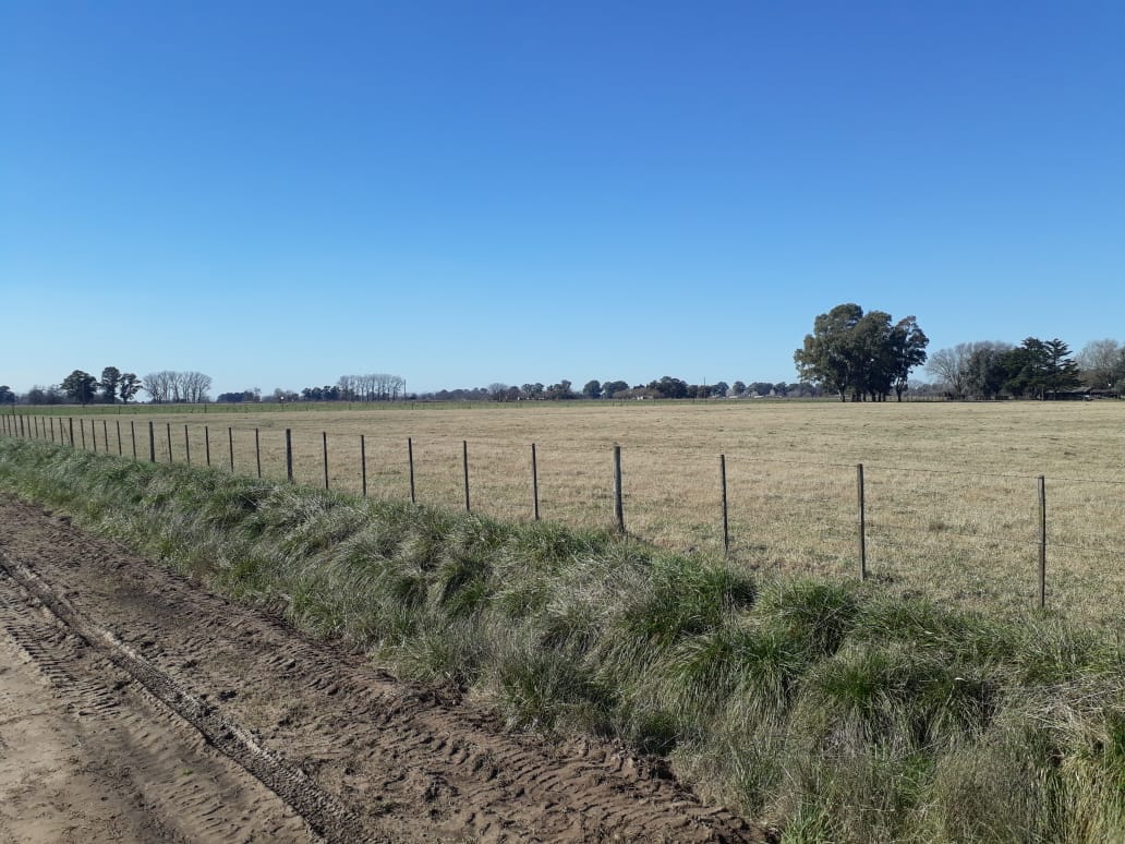 Campo en Venta en Lobos (27 Has)