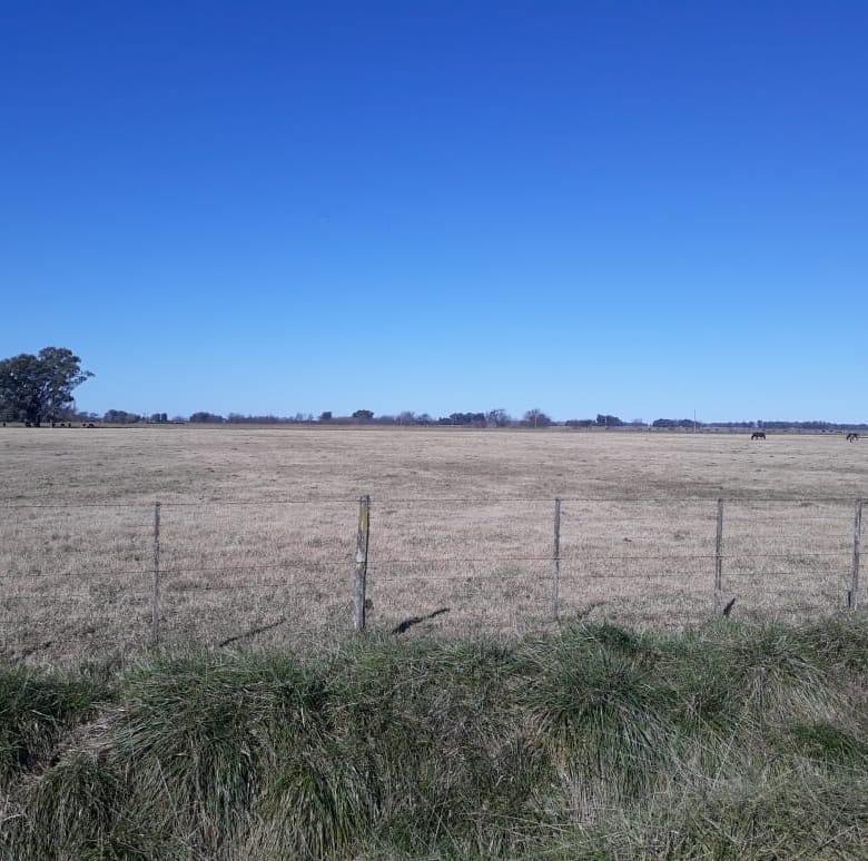 Campo en Venta en Lobos (27 Has)