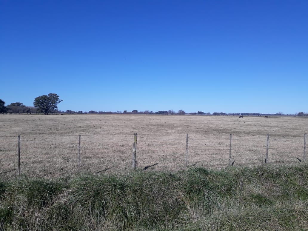 Campo en Venta en Lobos (27 Has)
