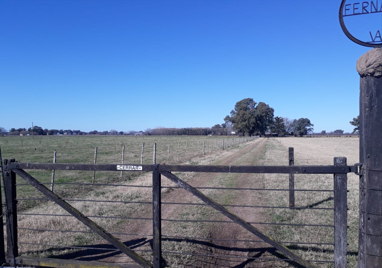 Campo en Venta en Lobos (27 Has)