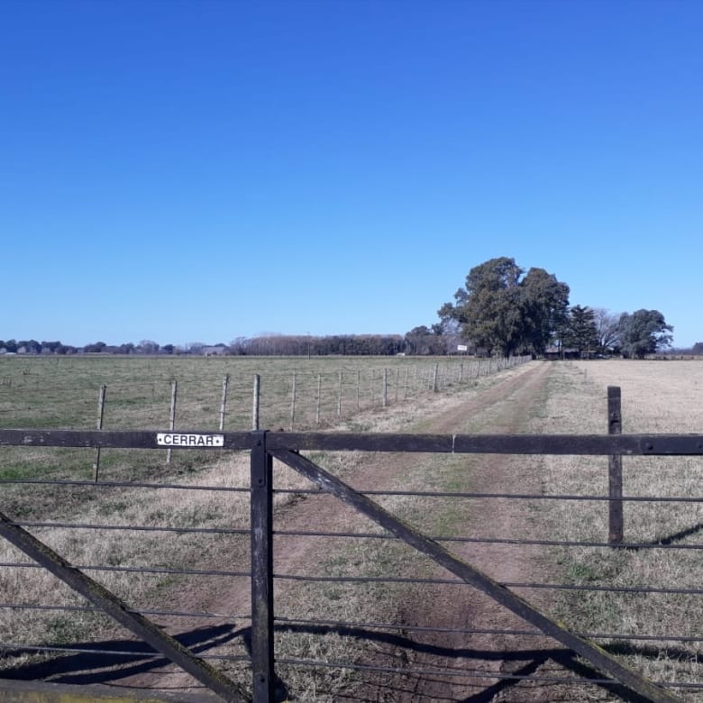 Campo en Venta en Lobos (27 Has)