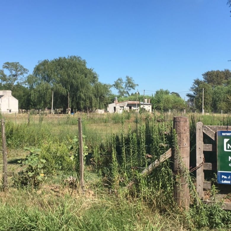 Lote en Venta en Salvador María, Lobos – 906 m² en Ubicación Privilegiada