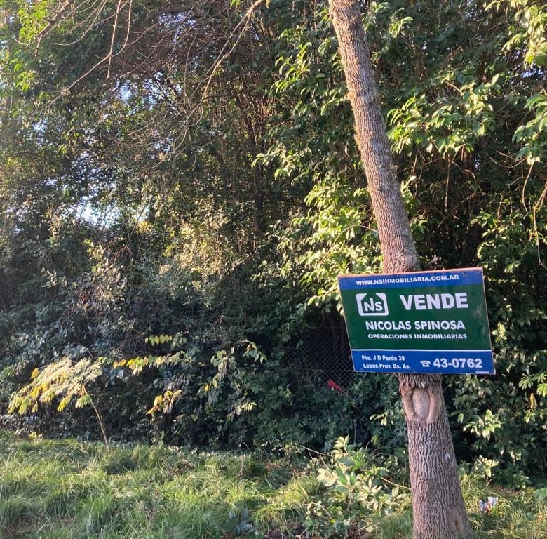 Lote en Venta en Laguna de Lobos (800 m²)