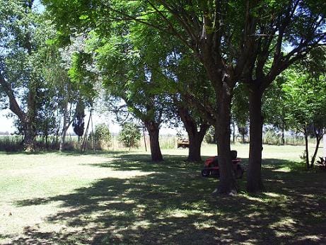 Campo en Venta en Ruta 205, Lobos (150 Has)