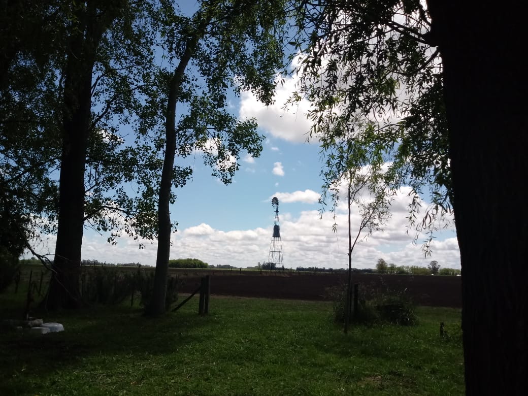 Chacra en Venta en Ruta 30, Lobos (2 Dorm – 6 Has)