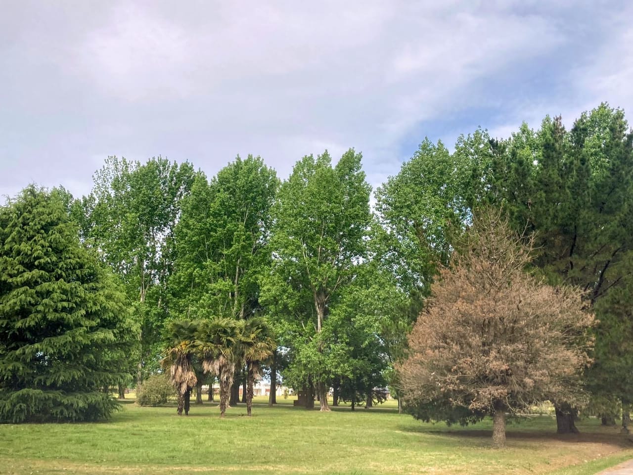 Lotes en Venta en Club de Campo La Federala, Lobos (800 m²)