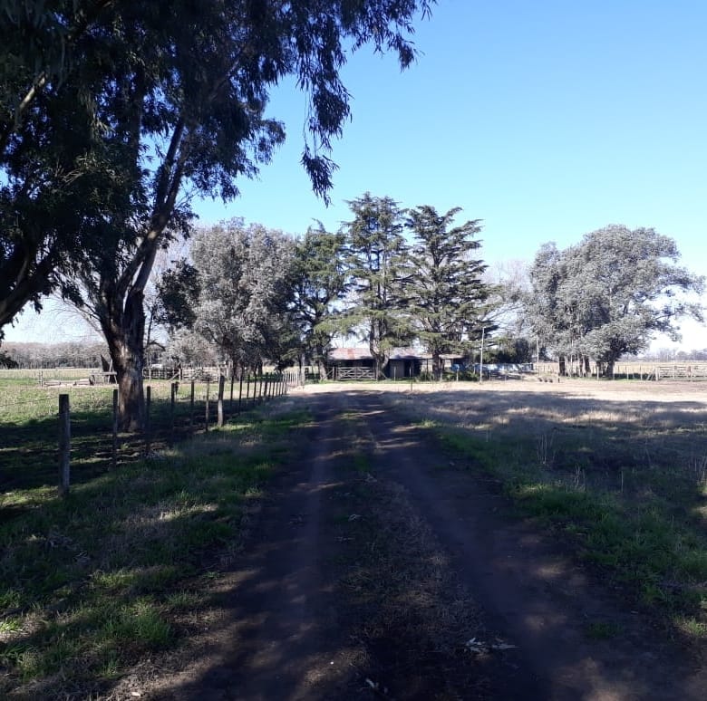 Campo en Venta en Lobos (27 Has)