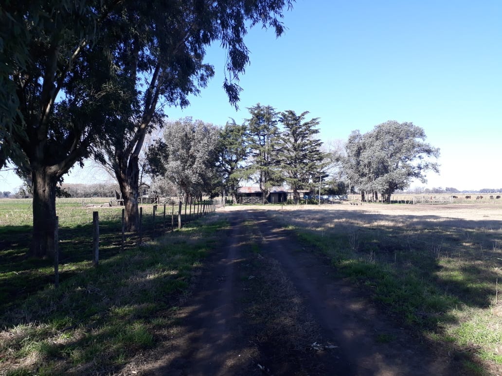 Campo en Venta en Lobos (27 Has)