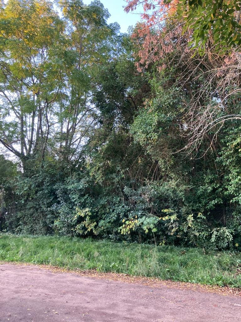 Lote en Venta en Laguna de Lobos (800 m²)