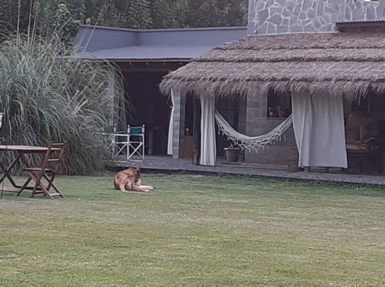 Casa Quinta en Venta en Lobos (2 Dorm – 3300 m²)
